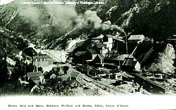 Frisco Mill and Mine